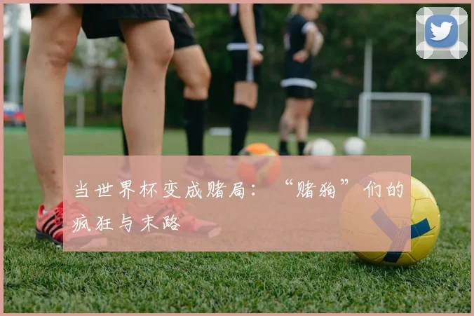 当世界杯变成赌局：“赌狗”们的疯狂与末路