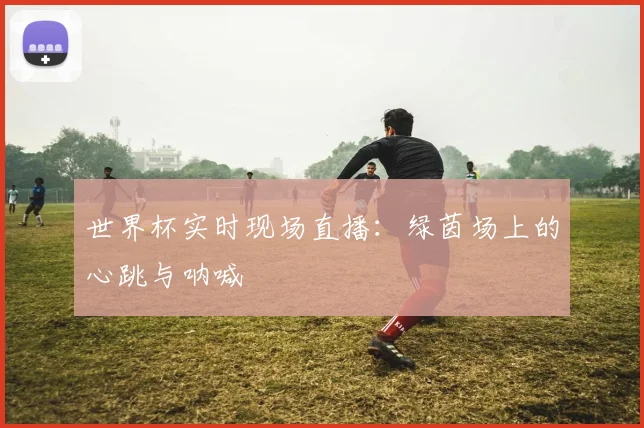 世界杯实时现场直播：绿茵场上的心跳与呐喊