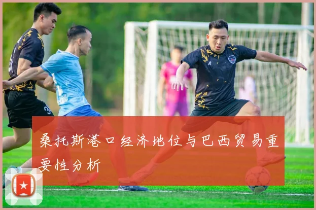 桑托斯港口经济地位与巴西贸易重要性分析