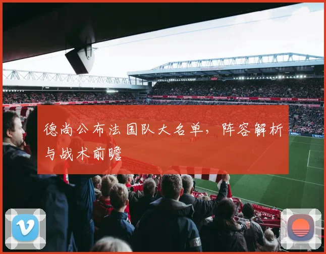 德尚公布法国队大名单,阵容解析与战术前瞻