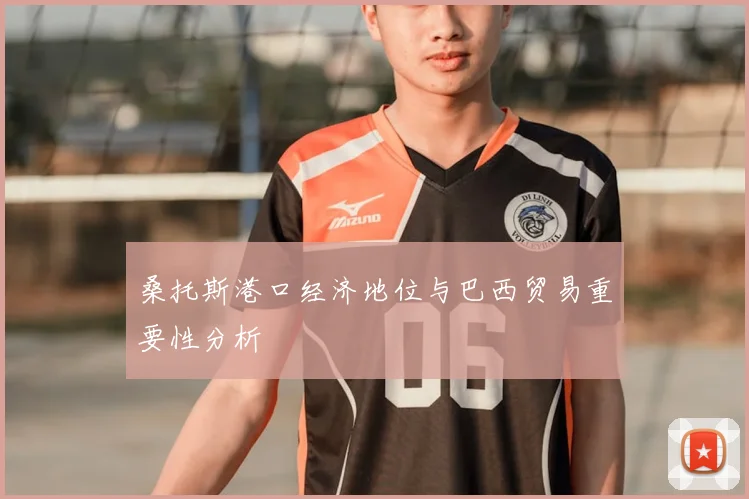 桑托斯港口经济地位与巴西贸易重要性分析