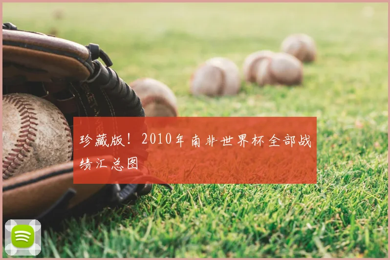 珍藏版！2010年南非世界杯全部战绩汇总图