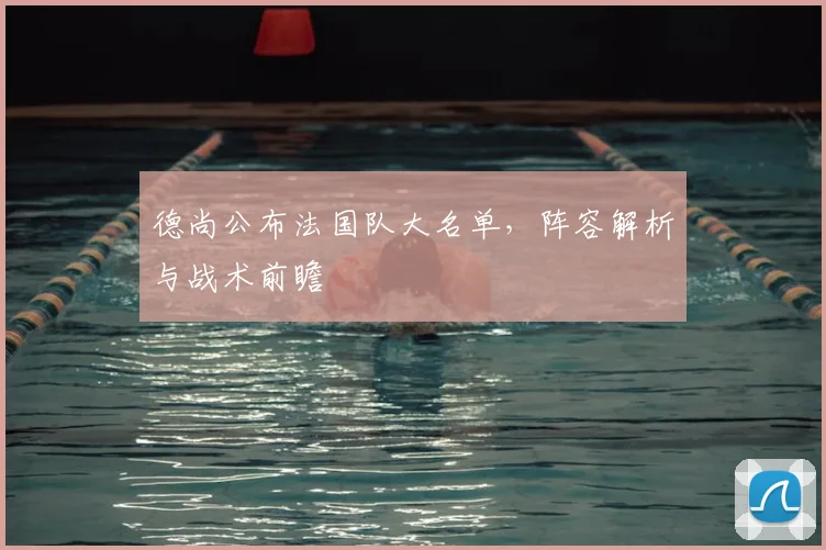 德尚公布法国队大名单,阵容解析与战术前瞻