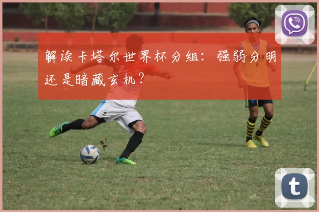 解读卡塔尔世界杯分组：强弱分明还是暗藏玄机？