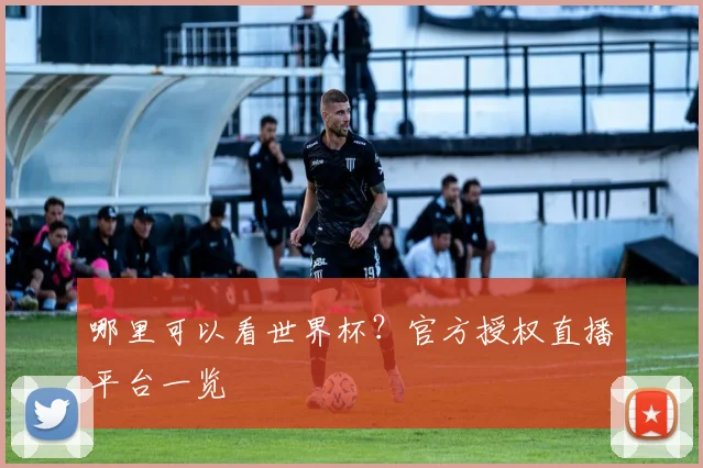 哪里可以看世界杯？官方授权直播平台一览