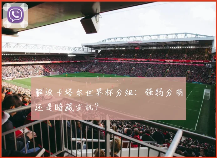 解读卡塔尔世界杯分组：强弱分明还是暗藏玄机？