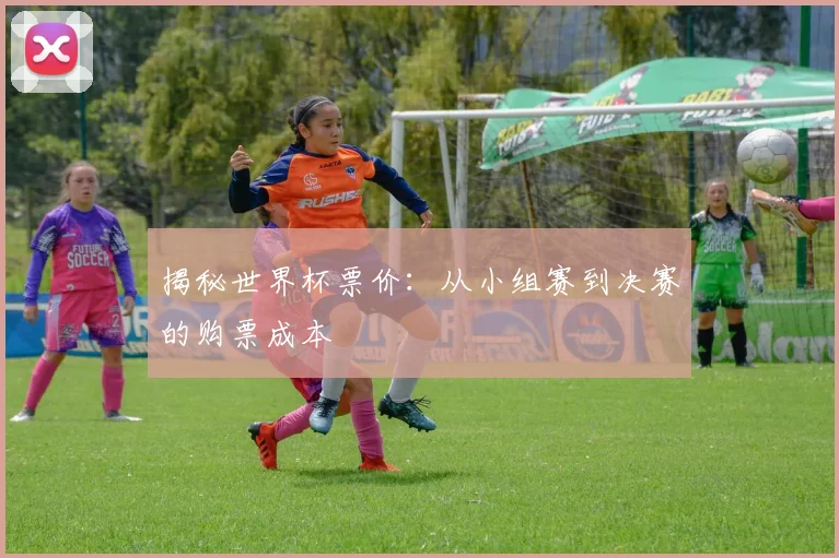 揭秘世界杯票价：从小组赛到决赛的购票成本