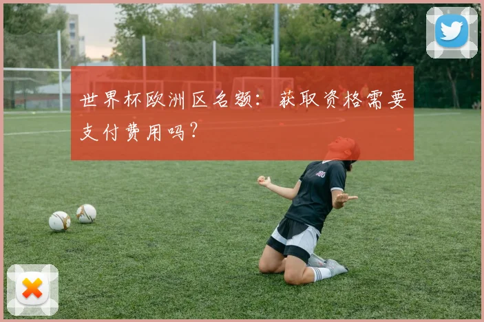 世界杯欧洲区名额:获取资格需要支付费用吗?