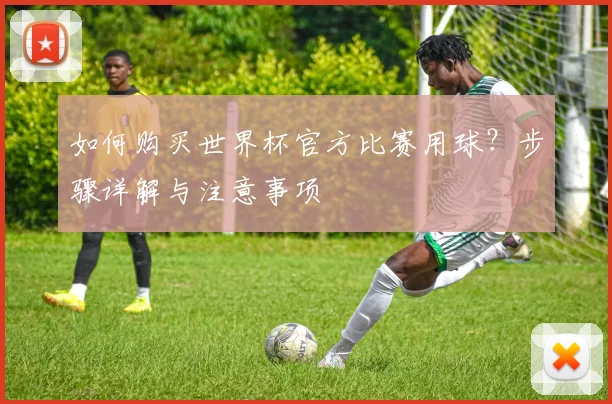 如何购买世界杯官方比赛用球？步骤详解与注意事项