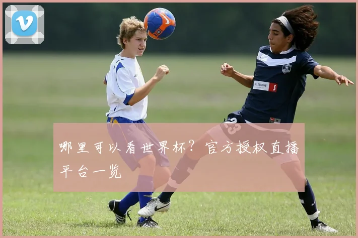 哪里可以看世界杯?官方授权直播平台一览
