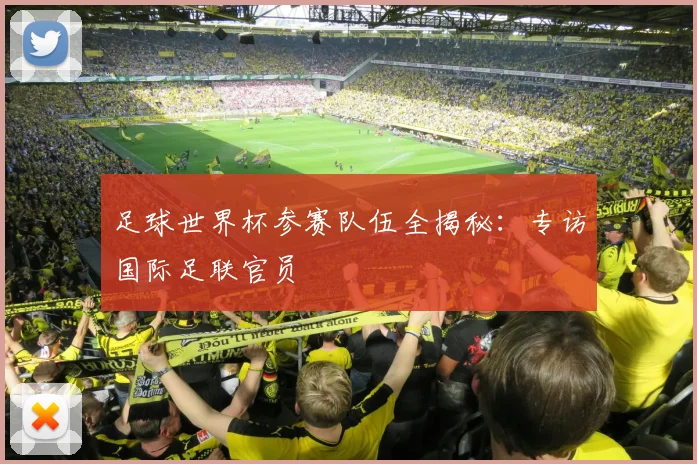 足球世界杯参赛队伍全揭秘:专访国际足联官员