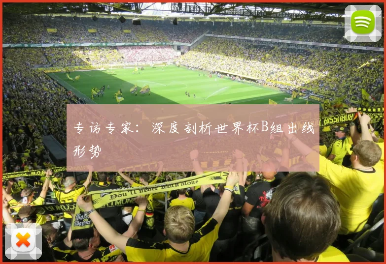 专访专家:深度剖析世界杯B组出线形势
